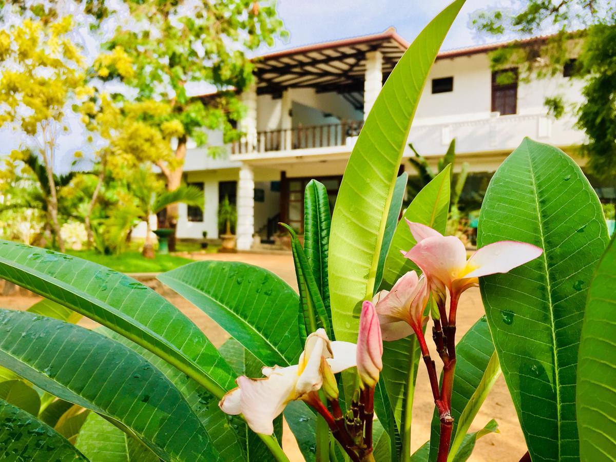 Saman Resort Yala Tissamaharama Exterior foto